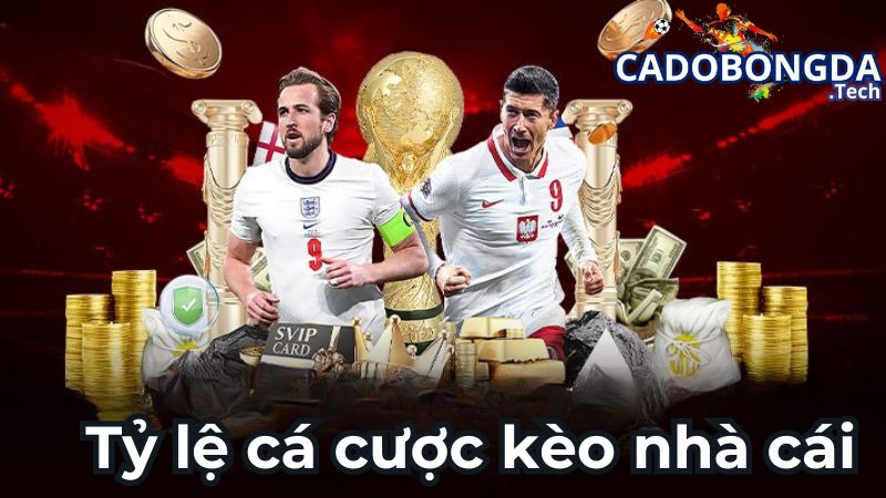 Tỷ lệ cá cược kèo nhà cái